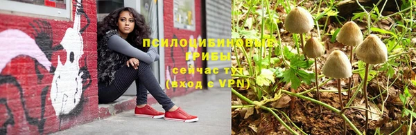 гашик Абинск