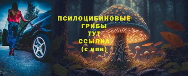 гашик Абинск